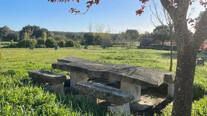 Patio exterior del Alojamiento La Rueca — espacio para grupos